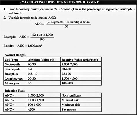 absolute wbc count calculator|how to calculate absolute neutrophil count.